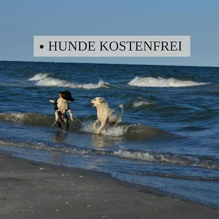 Haus Krabbe: North Sea Apartment with Pet-Friendly Stay Wremen Exterior photo
