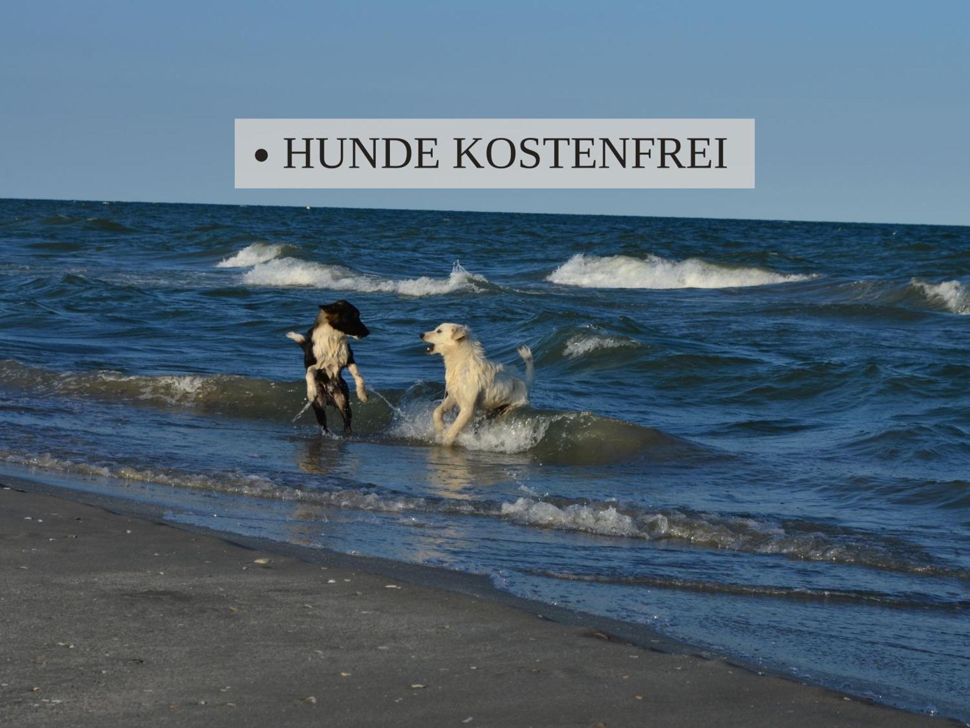 Haus Krabbe: North Sea With Pet-friendly Apartment Wremen